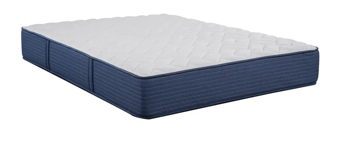 Alleghany Firm Twin 11.5″ Firm Mattress Only