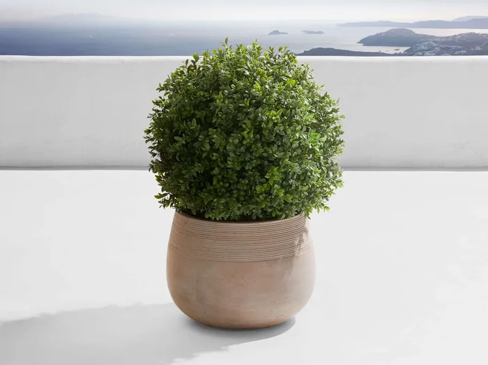 Boxwood Small Ribbed Planter