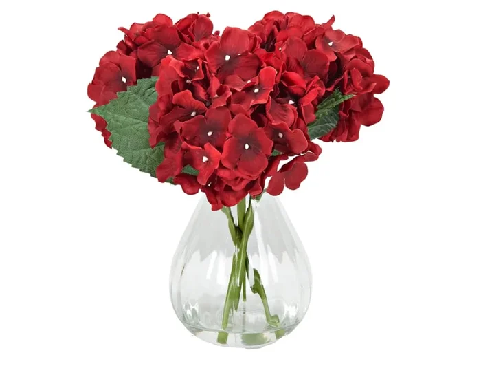 Red Hydrangea in Glass Vase