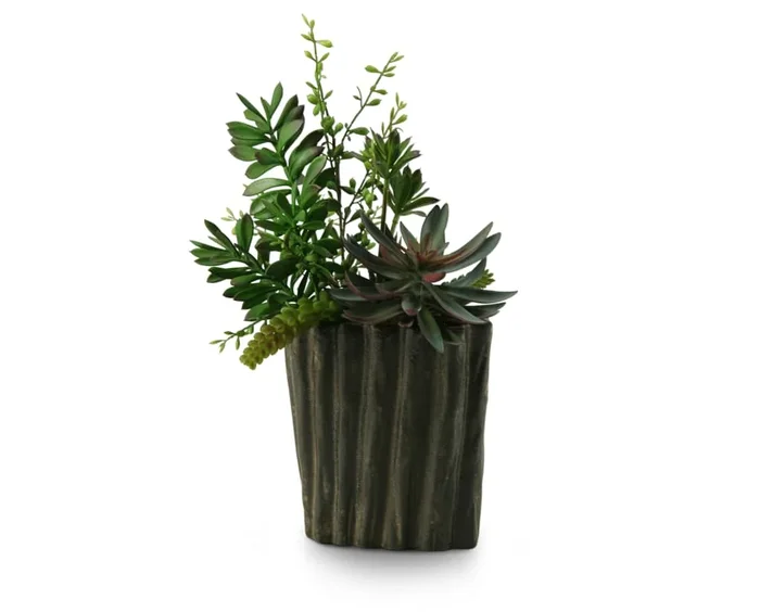 Succulents, Aloe, and Dracaena Heads in Oval Ceramic Planter