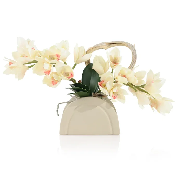 Tan Cymbidiums